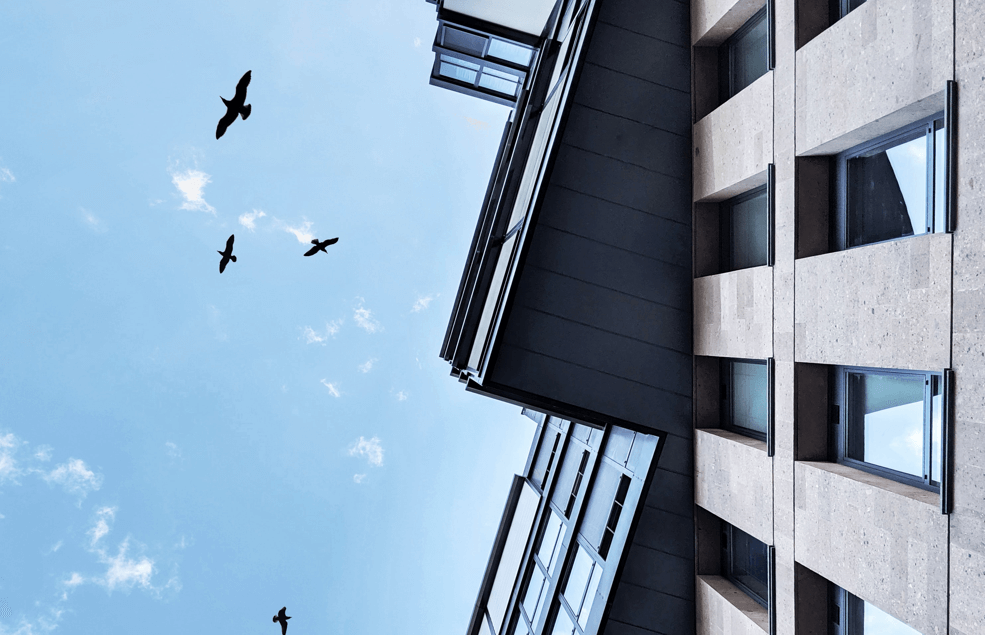 A Bird’s Point Of View: Explore the luxury rooftops of New York