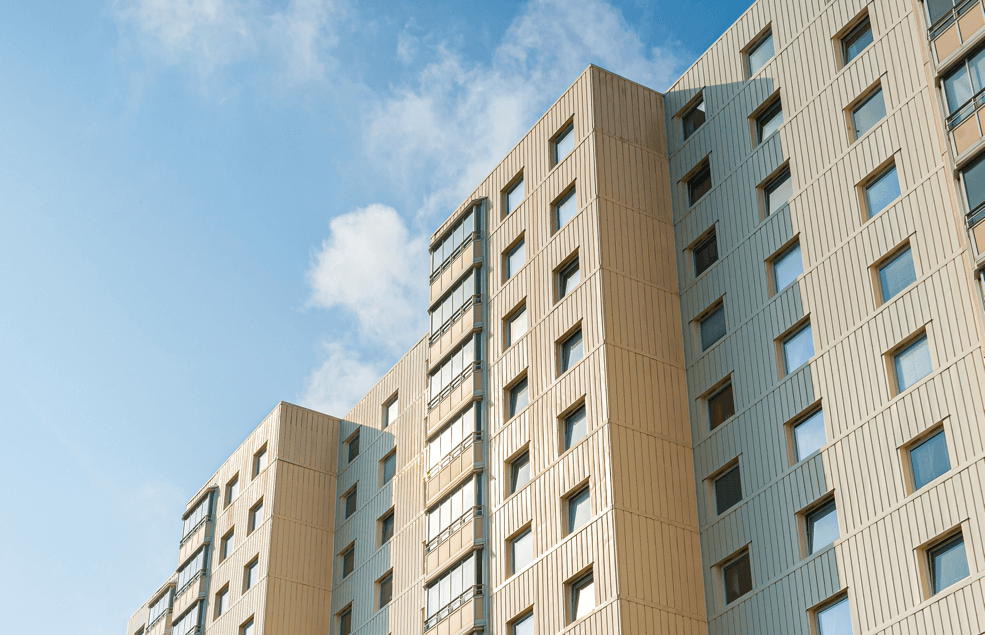 The real estate agency that breaks the glass ceiling: Meet the Realet family.